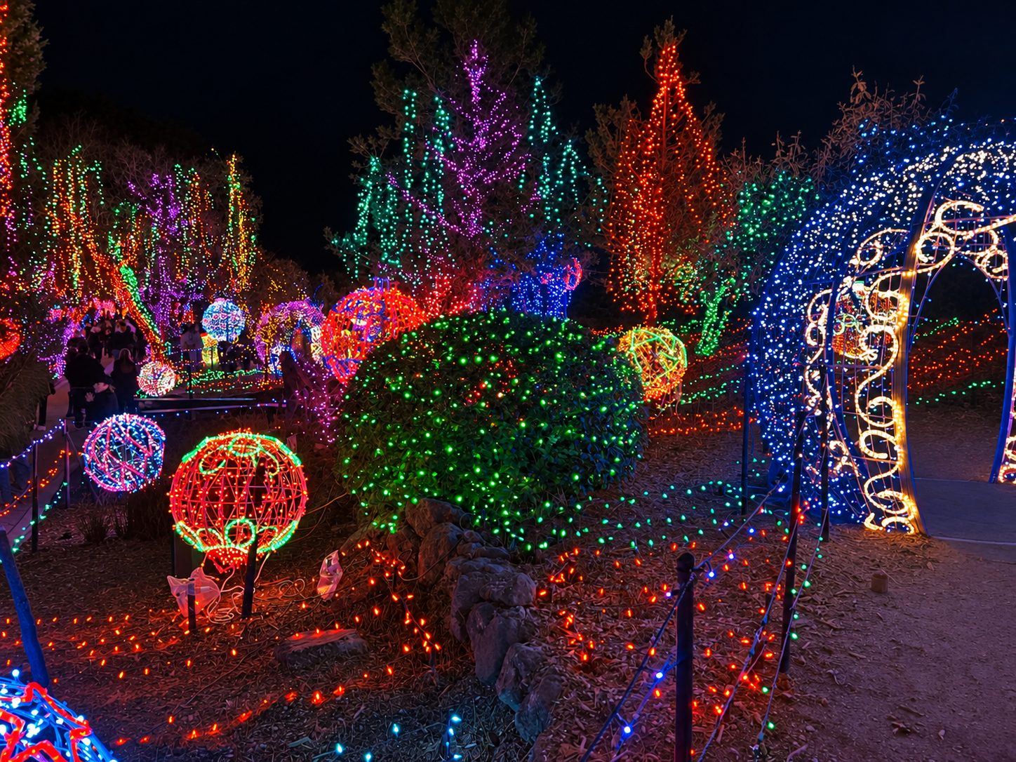 Cambria's Christmas light festival at night