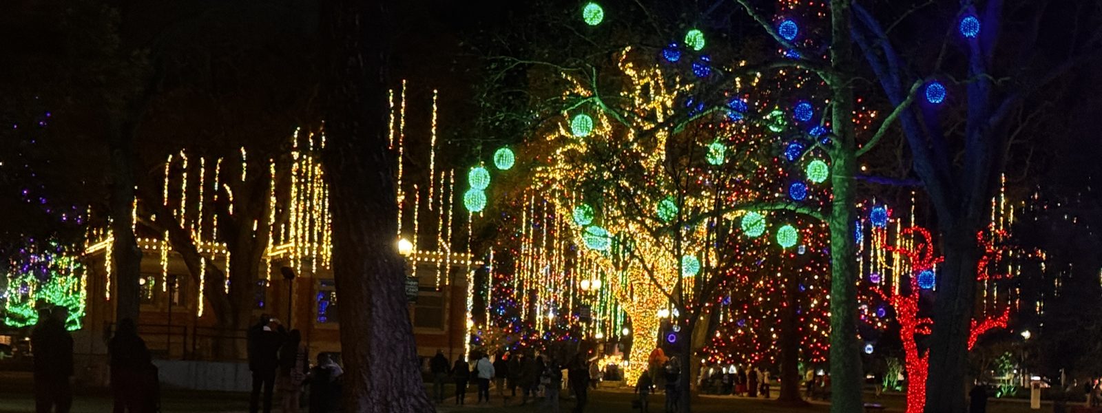 December in the Paso Robles Downtown Park