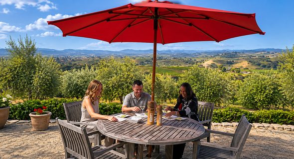 Tasting table at Kiler Ridge Olive Oil Farm, overlooking the hills